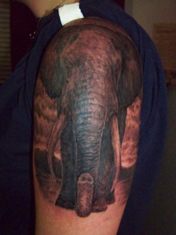 Elephant (After)